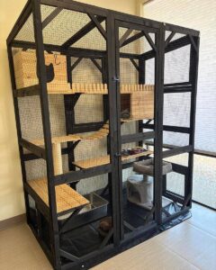 Lobby catio with shelves and cat scratching posts