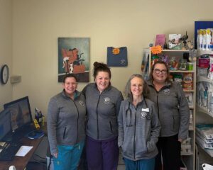 Argay Cat Care staff - 4 ladies smiling wearing office scrubs
