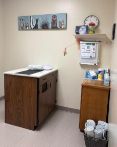 Exam room 1 with table and sink