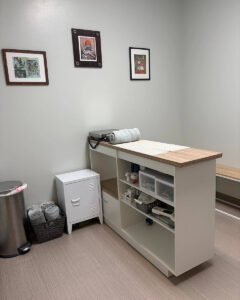 Exam room 2 with table and cat care supplies