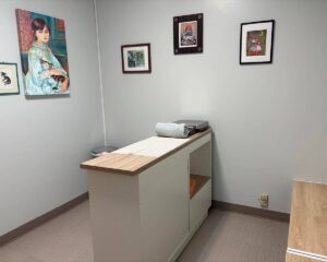 Exam room 2 is very tidy