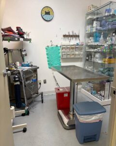 Surgical suite in the back office of Argay Cat Care