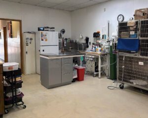 Surgical suite with kennels in the back of Argay Cat Care