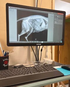 X-ray machine in the surgical suite