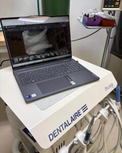 Feline dental exam area with x-ray on laptop